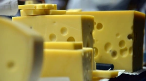 Milch ist zu sauber für Emmentaler-Löcher | Milch ist zu sauber für Emmentaler-Löcher