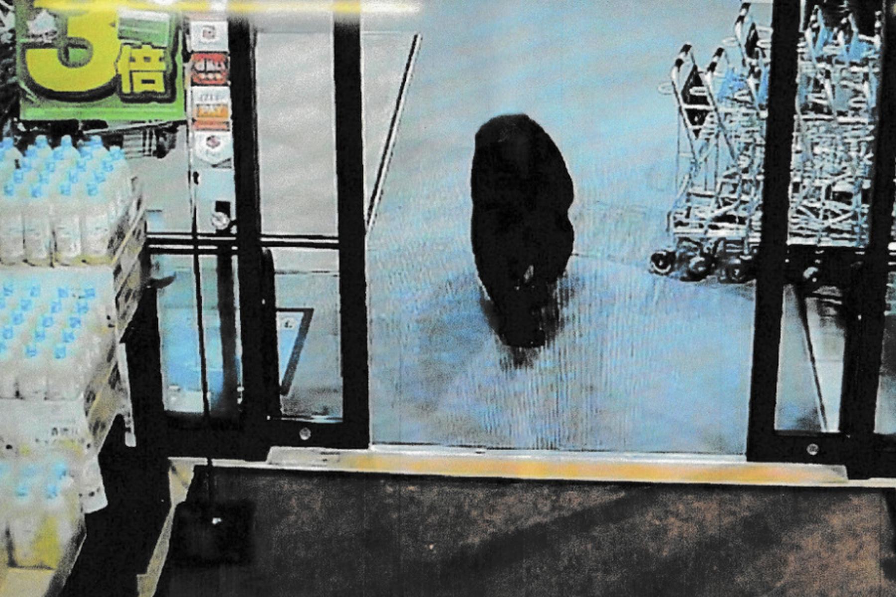 Tokio: Japan schickt Armee in den Kampf gegen Bären