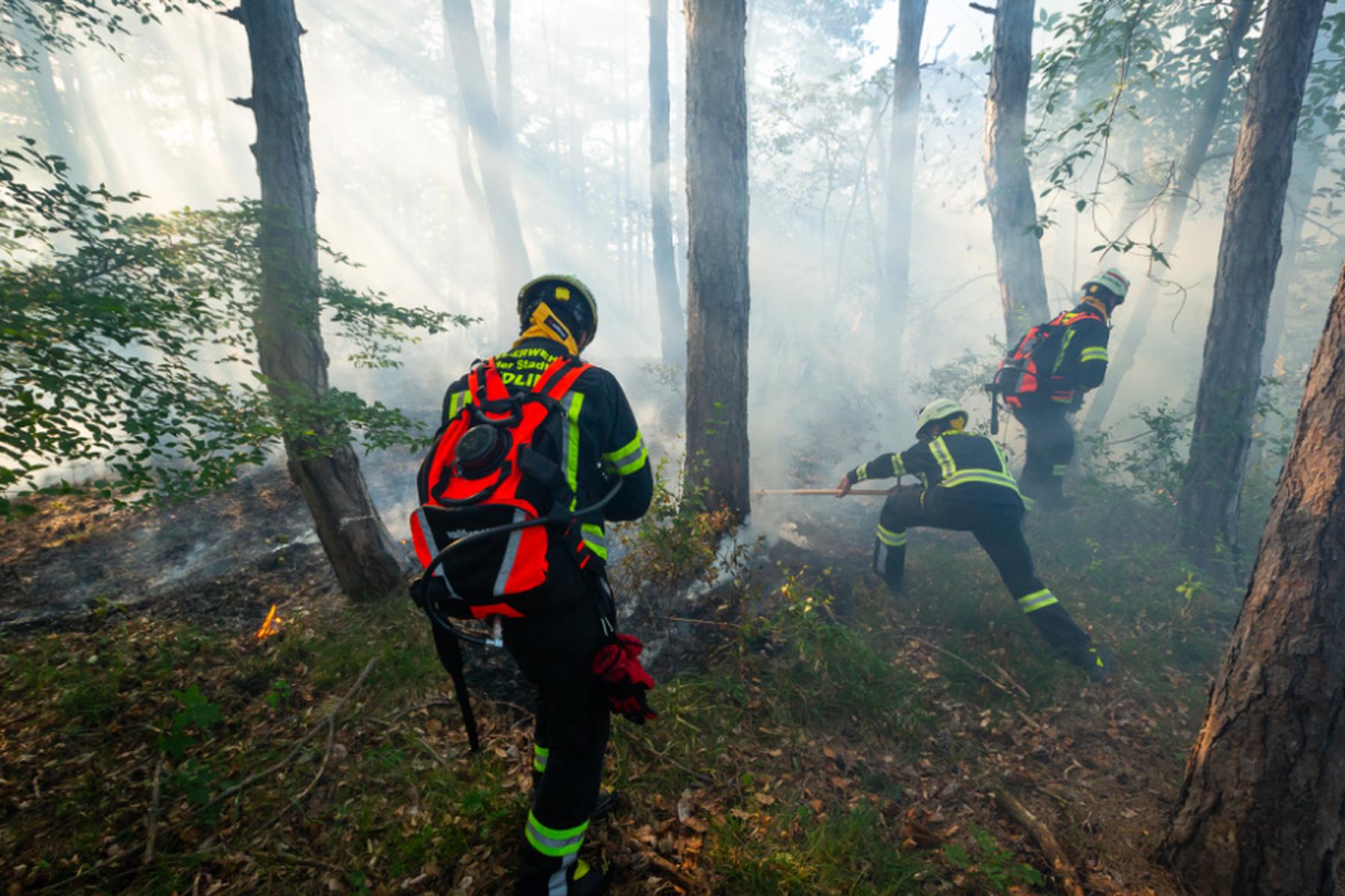 Mödling: Lagerfeuer löst Waldbrand im Bezirk Mödling aus