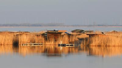 Aktuell ist der Neusiedler See nach den Regenfällen im September wieder gut gefüllt