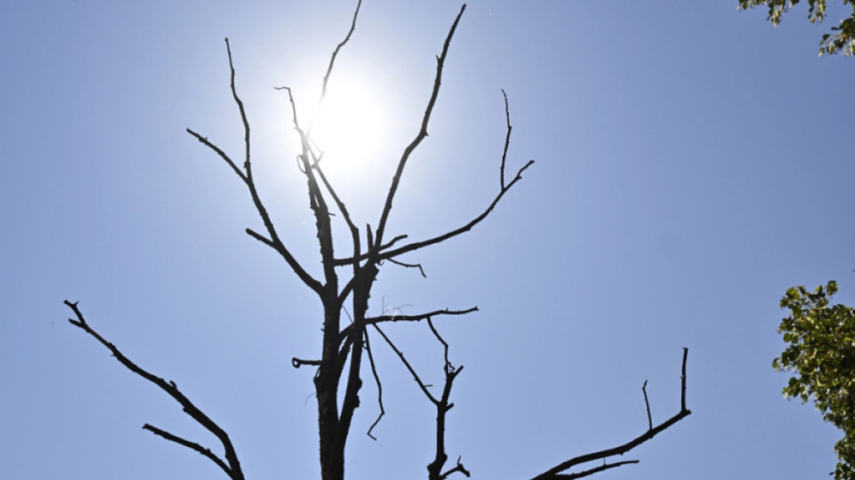 Hitzetage häufen sich aufgrund der Klimakrise | Hitzetage häufen sich aufgrund der Klimakrise