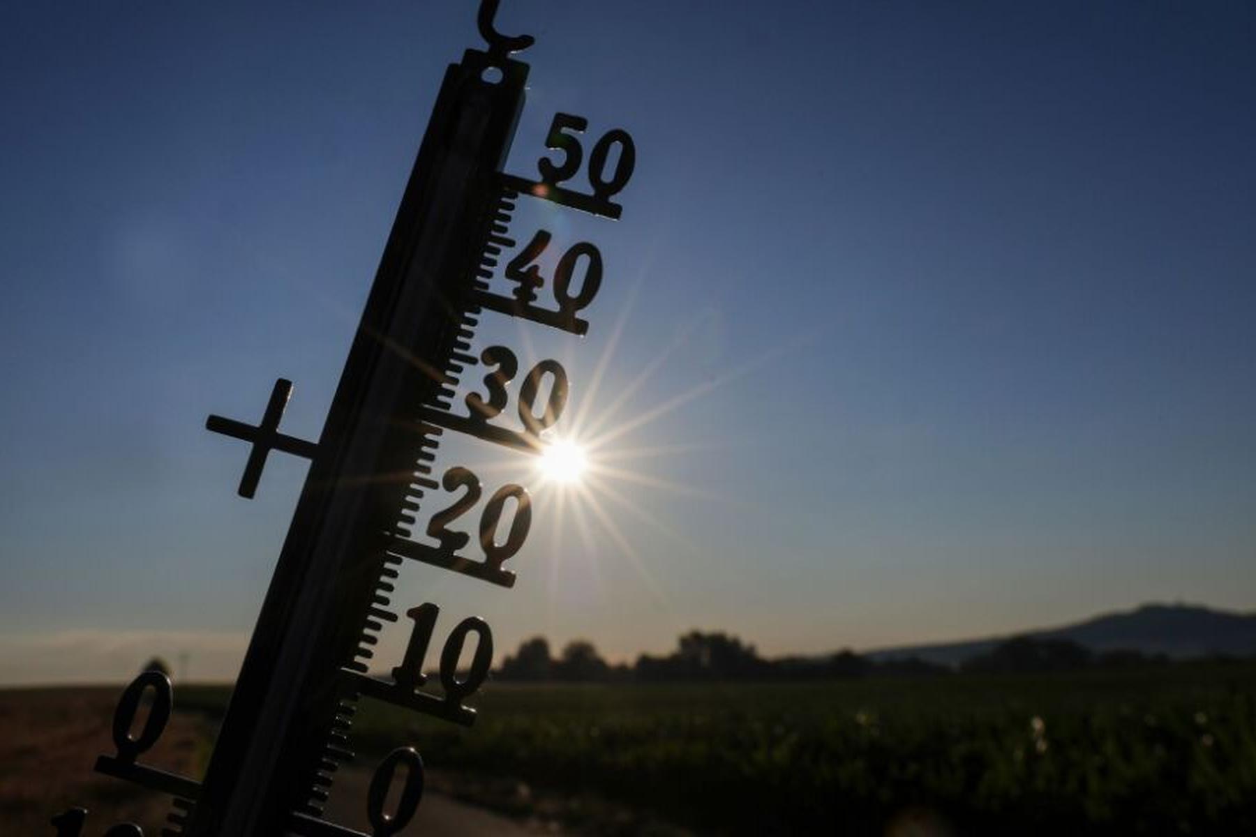 Wien: Studie geht von stark steigendem städtischen Kältebedarf aus