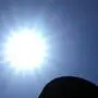 Nacht-Temperaturen besonders ausschlaggebend | Nacht-Temperaturen besonders ausschlaggebend