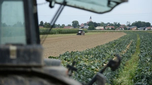 Der Bub erlitt schwere Verletzungen an zwei Fingern | Der Bub erlitt schwere Verletzungen an zwei Fingern