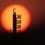 Den ganzen Tag in der Sonne verbracht | Den ganzen Tag in der Sonne verbracht