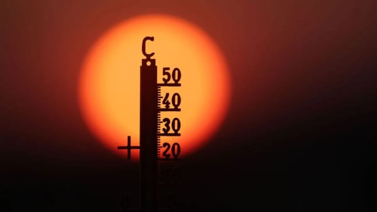 Den ganzen Tag in der Sonne verbracht | Den ganzen Tag in der Sonne verbracht