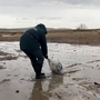 Tonnen von verseuchtem Sand wurden bereits entfernt | Tonnen von verseuchtem Sand wurden bereits entfernt