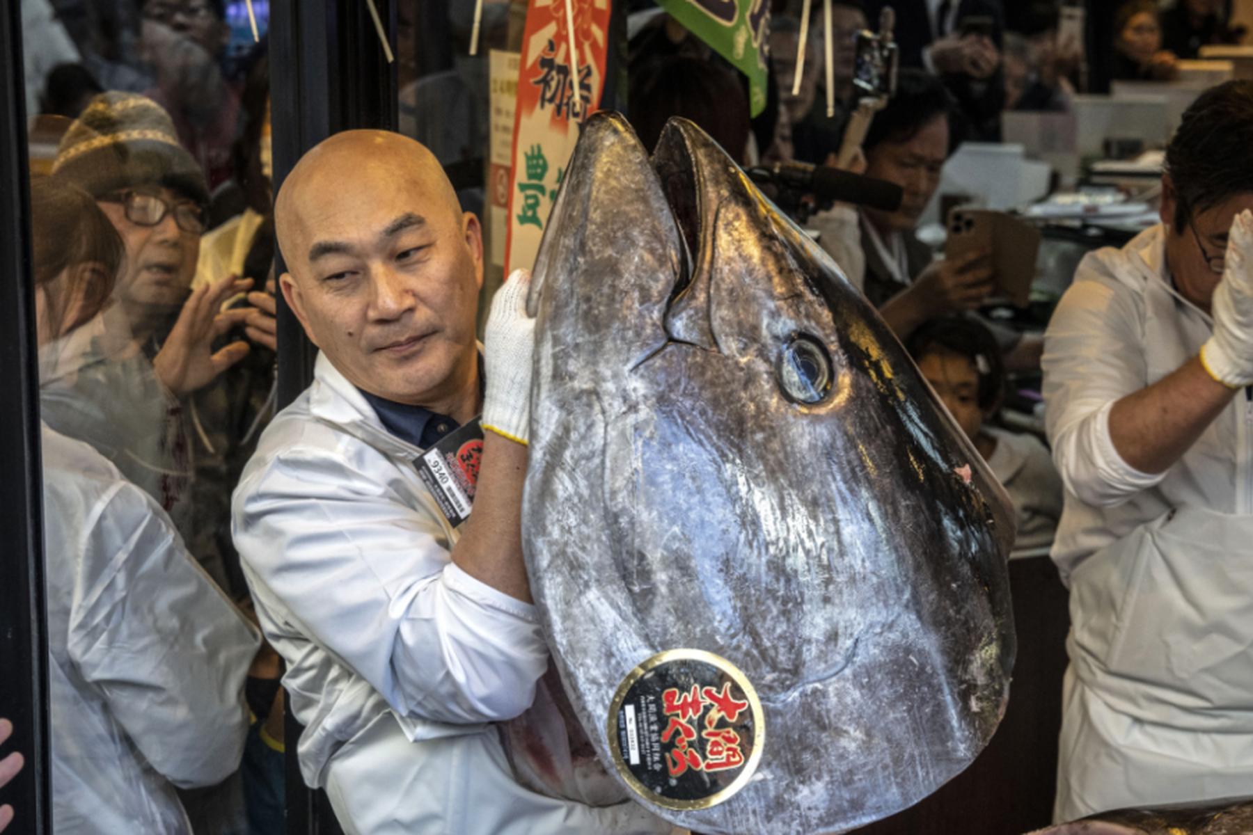 Tokio: Rekordpreis von 2,8 Millionen Euro für Thunfisch in Tokio