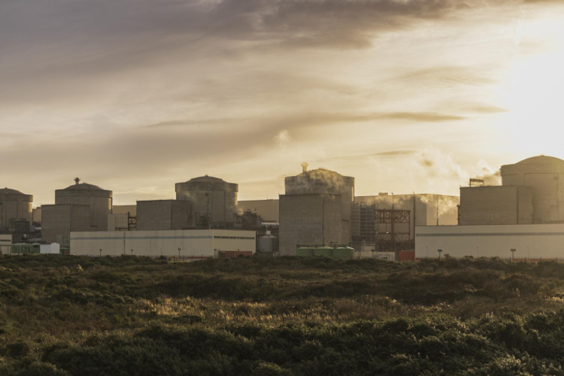 Paris: Quallen legen Atomkraftwerk in Frankreich lahm