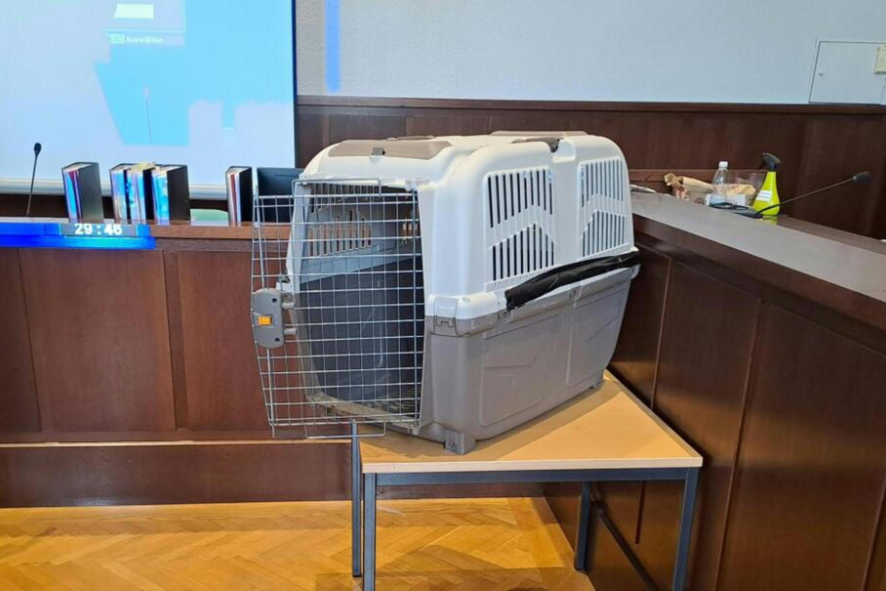 Krems: Ärztliches Gutachten für Hundebox-Zivilprozess liegt vor