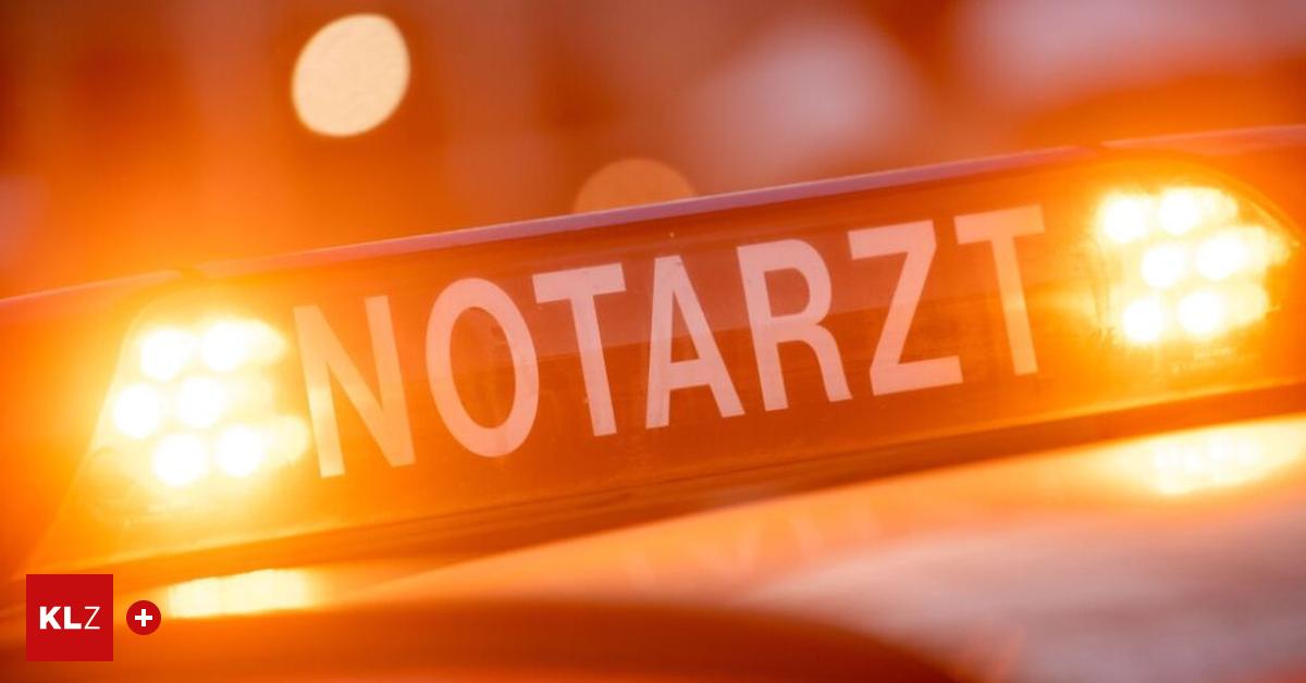 Lassing-Pensionierter-Landwirt-verungl-ckte-t-dlich-im-Stall