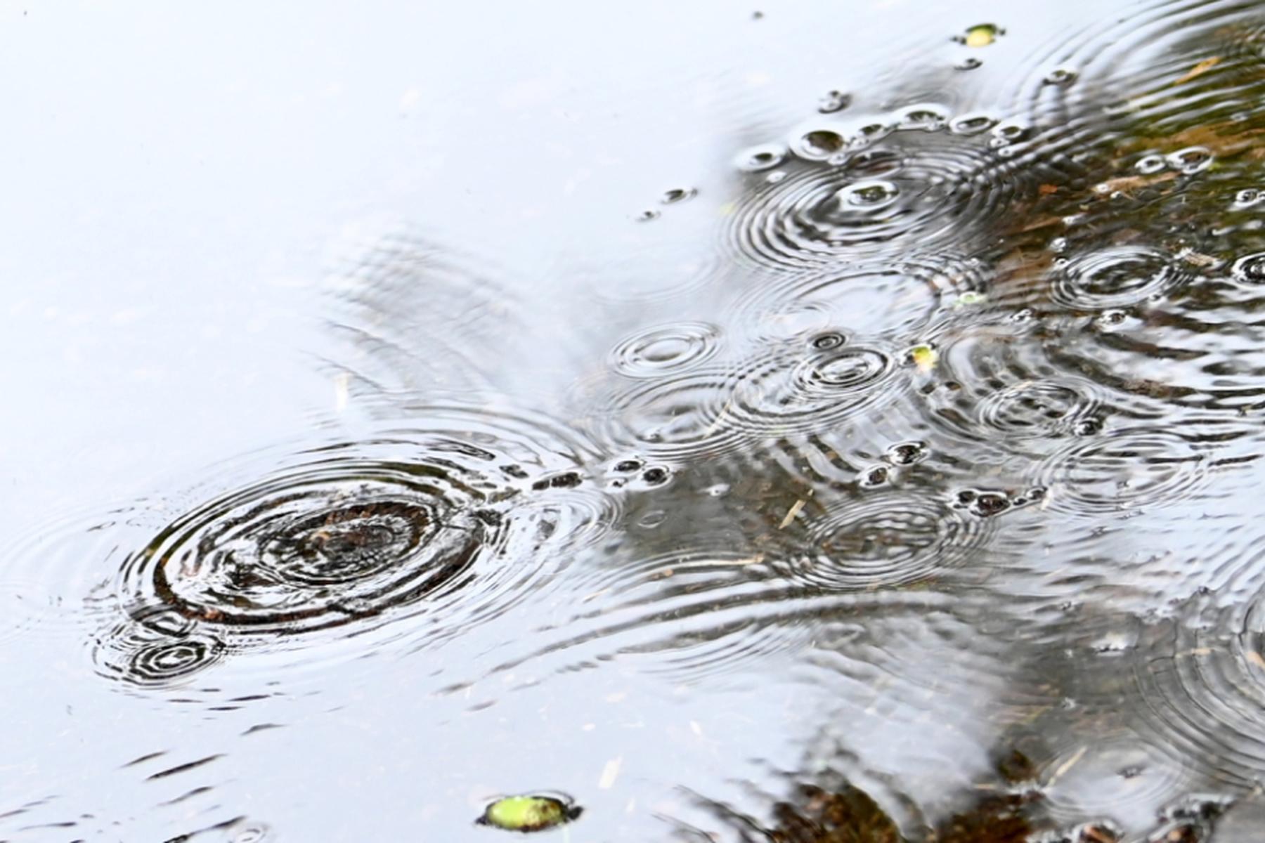 Wien: Trübster Juli seit 1979 brachte wenig Sonne und viel Regen