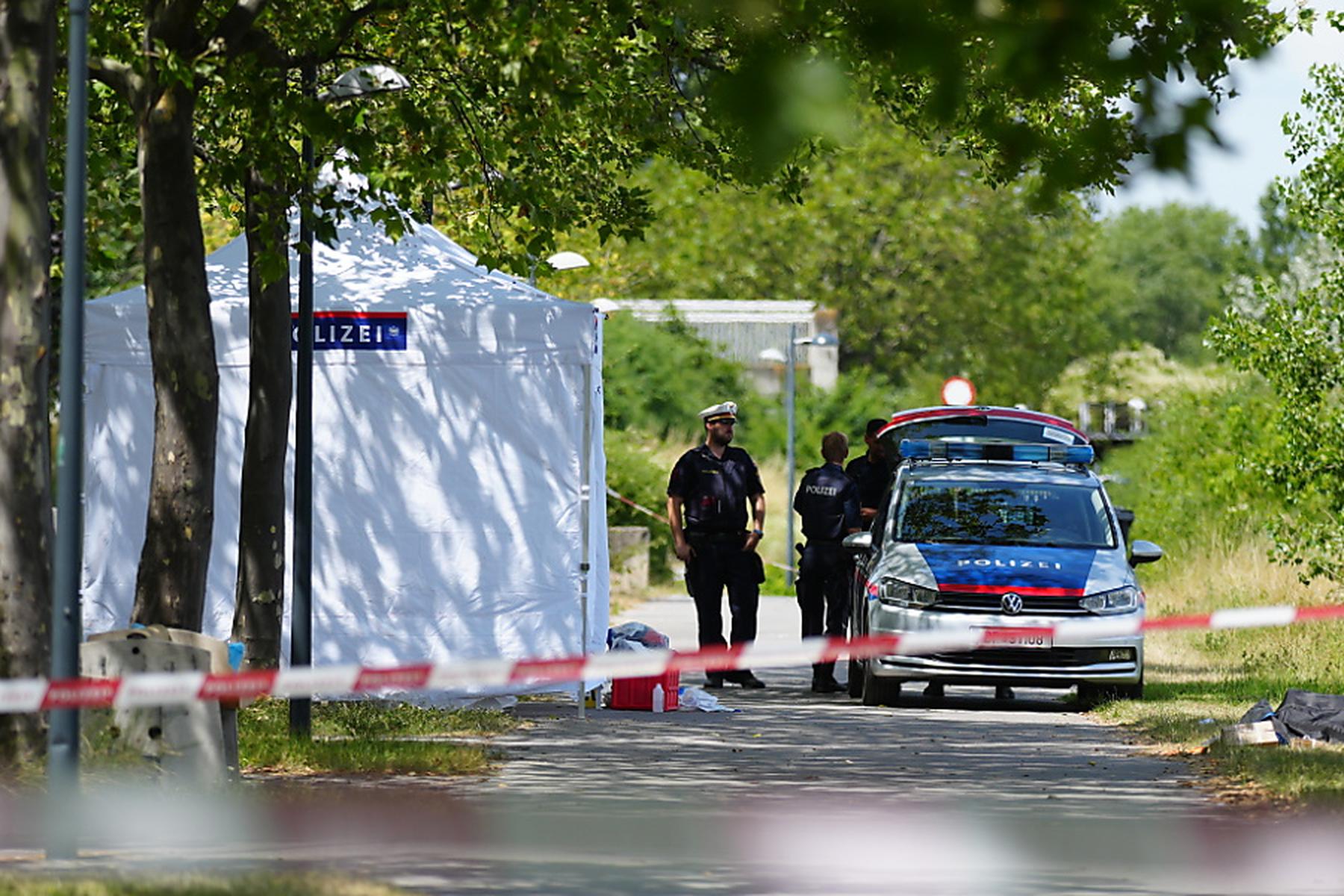 Wien: Doppelmordverdächtiger Bursch offenbar zurechnungsfähig