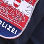 Die Wiener Polizei stoppte die Burschen mit dem gestohlenen Wagen | Die Wiener Polizei stoppte die Burschen mit dem gestohlenen Wagen