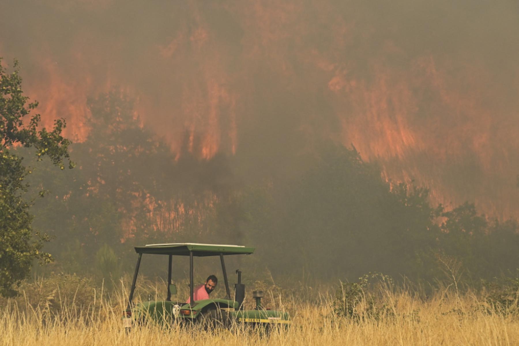 Madrid/Lissabon: Waldbrände in Spanien am Abflauen