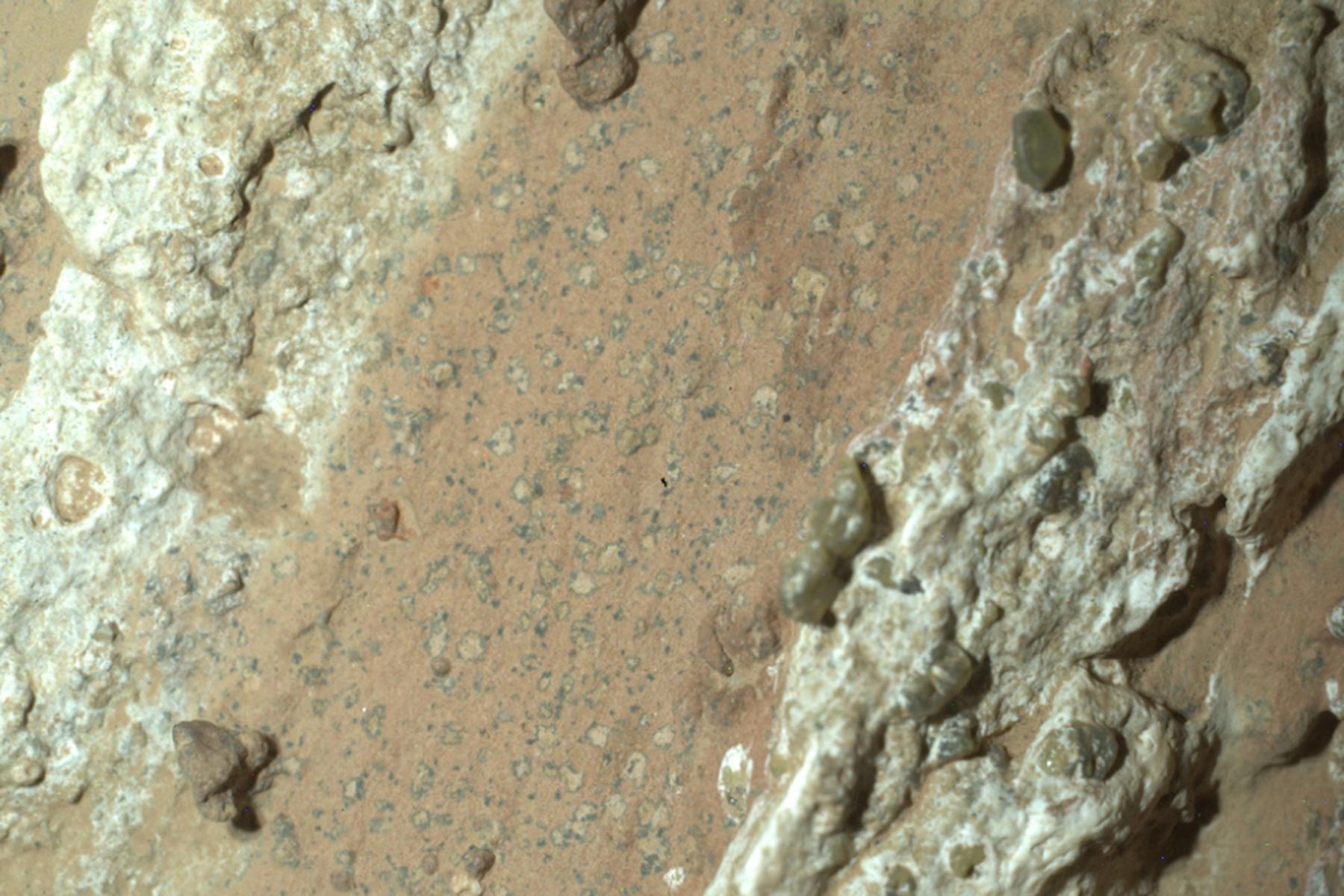 Washington: Mars-Stein mit Zeichen von früherem Leben