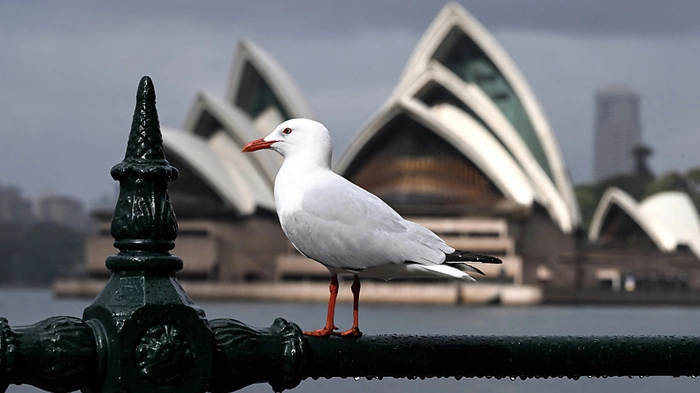 Australien verzeichnet im Winter Höchsttemperaturen | Australien verzeichnet im Winter Höchsttemperaturen