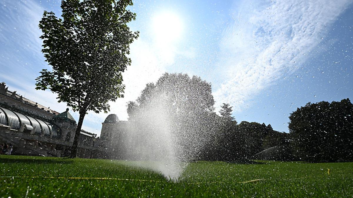 Die Bewässerungsanlagen liefen in diesem Sommer im wahrsten Sinne des Wortes heiß | Die Bewässerungsanlagen liefen in diesem Sommer im wahrsten Sinne des Wortes heiß