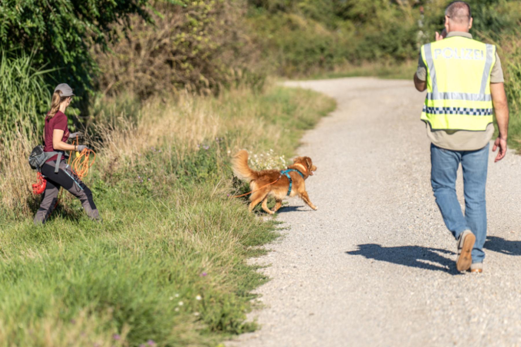 Neusiedl am See/Wien: Greifvogel im Burgenland bei Polizeiaktion aus Falle befreit