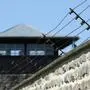 Die Befreiung des KZ Mauthausen jährt sich zum 81. Mal | Die Befreiung des KZ Mauthausen jährt sich zum 81. Mal