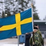 Das schwedische Modell soll nach Österreich kommen | Das schwedische Modell soll nach Österreich kommen