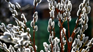 Bischöfe plädierten für Frieden | Bischöfe plädierten für Frieden