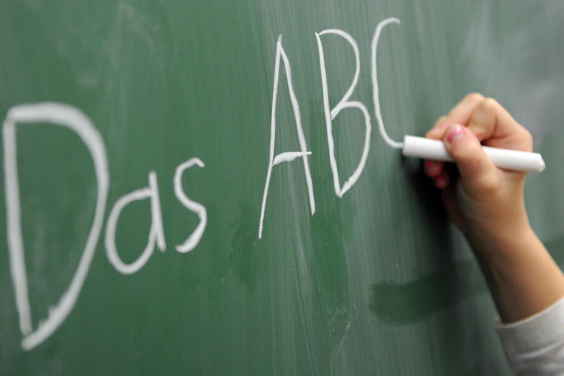 Zagovornica invalidov zahteva pravico do šolske asistence po vsej Avstriji