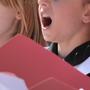 Musikunterricht durch Musiklehrer wird in den Pflichtschulen seltener