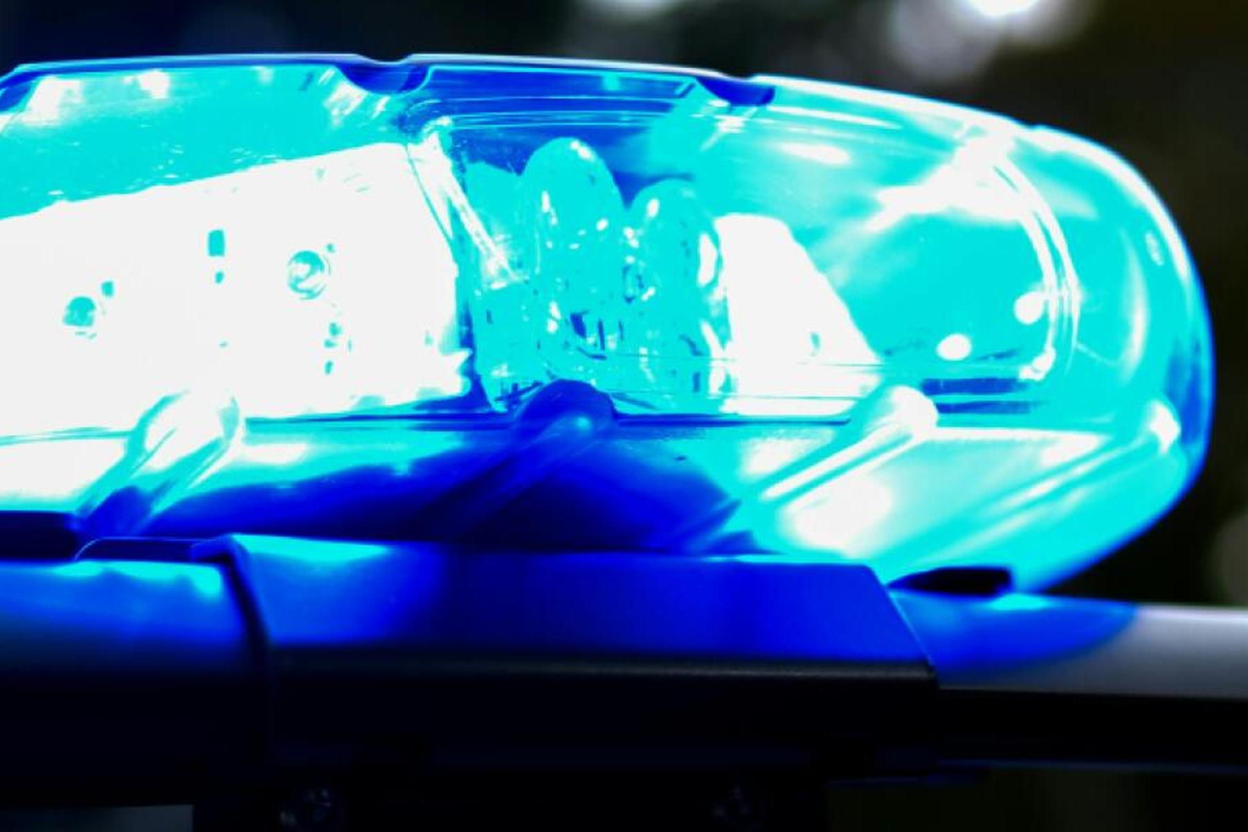 Zaradi motenja spominske slovesnosti v Mödlingu preiskava zoper osumljenca