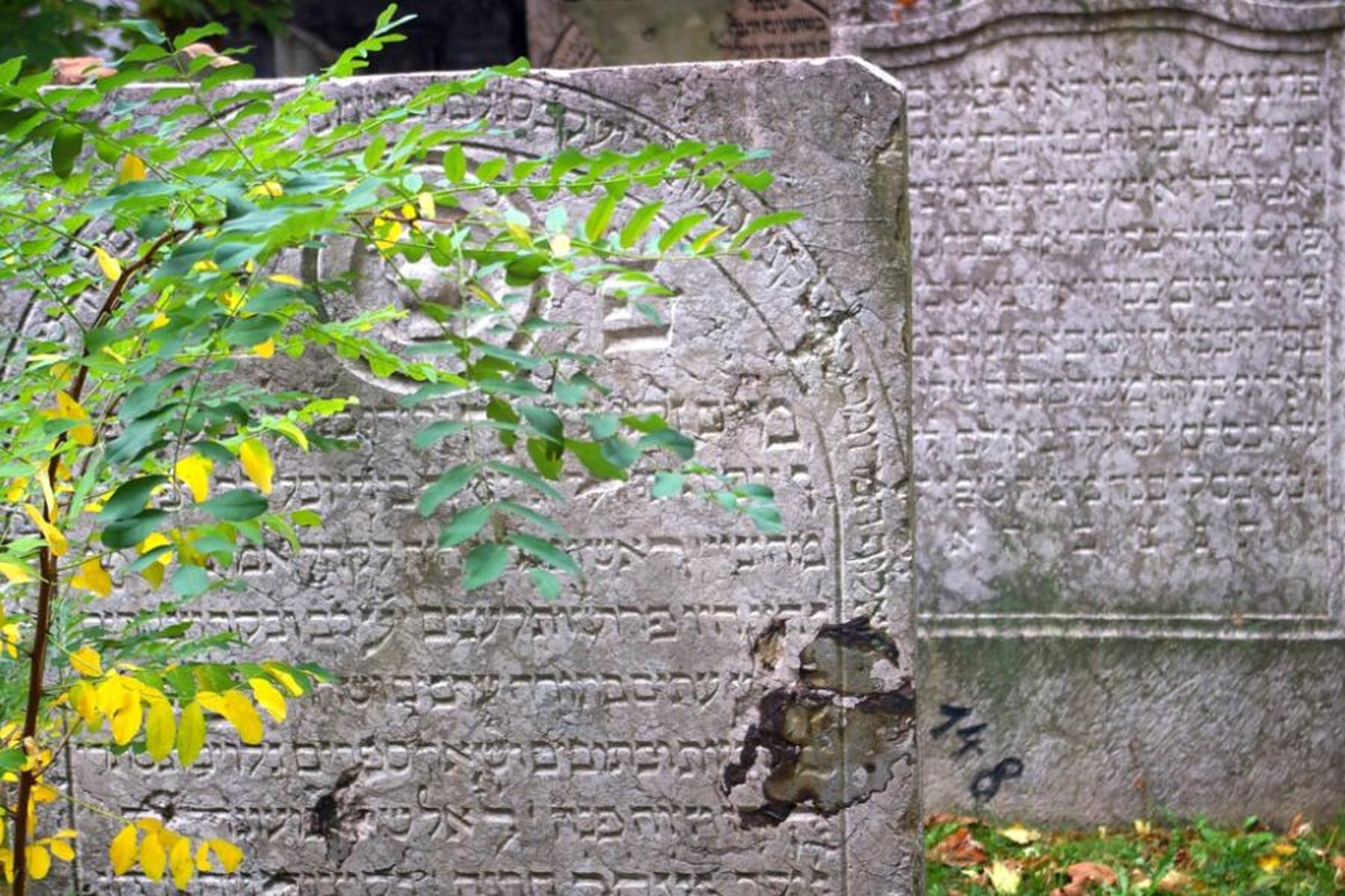 Wien: Haubner mit Vorsitzregelung bei Nationalfonds zufrieden