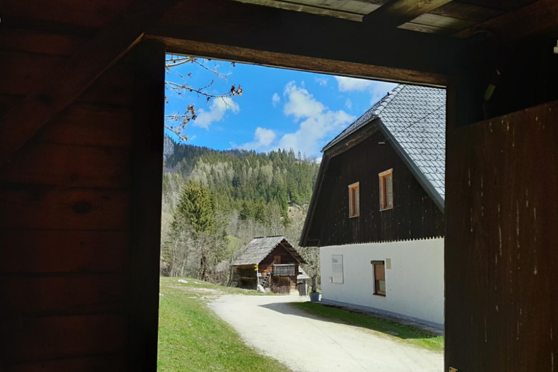 Wien: Betroffene von Peršmanhof-Einsatz fordern Entschuldigung