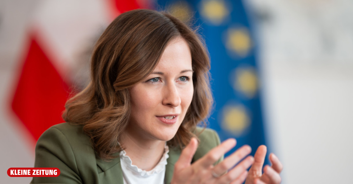 Wien: Plecom: Es gibt keinen freiwilligen Integration mehr