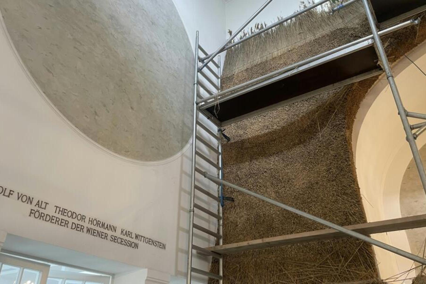 Wien: Secession zeigt Filme, hängende Objekte und eine Schilfwand