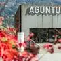 "Aguntum" wird in die Tiroler Landesmuseen integriert | "Aguntum" wird in die Tiroler Landesmuseen integriert