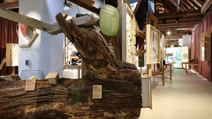 Das Haus der Biodiversität bleibt in Herberstein erhalten | Das Haus der Biodiversität bleibt in Herberstein erhalten