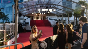 Wer wird als Sieger über den Red Carpet schreiten? | Wer wird als Sieger über den Red Carpet schreiten?