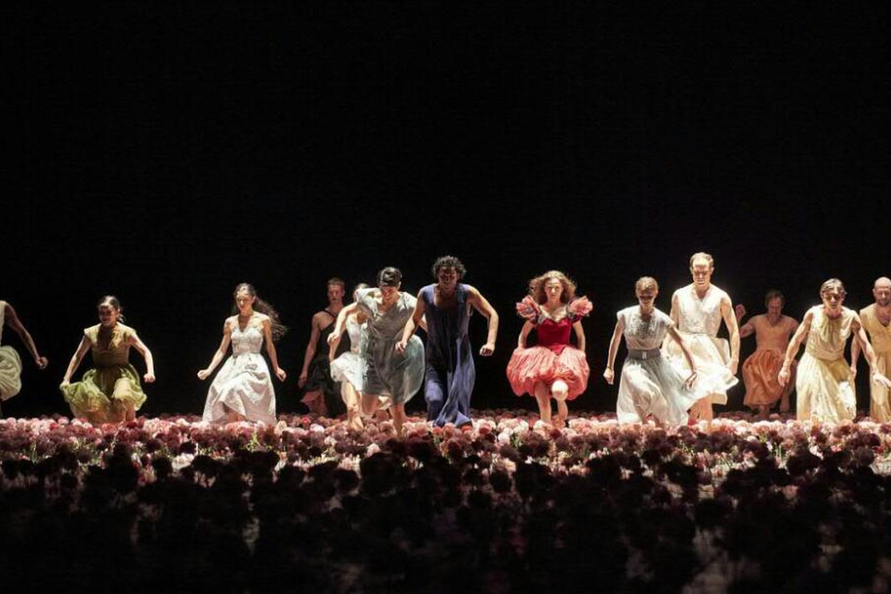 Wien: Ein Meer von "Nelken" bei ImPulsTanz