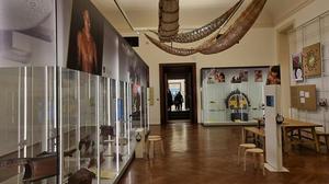 Hängematten, Schemel, Masken: Indigene Kunst im Weltmuseum | Hängematten, Schemel, Masken: Indigene Kunst im Weltmuseum