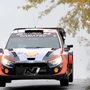 Neuville als Führender in den Schlusstag der Dreiländereck-Rallye | Neuville als Führender in den Schlusstag der Dreiländereck-Rallye
