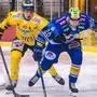 VIENNA,AUSTRIA,18.OCT.24 - ICE HOCKEY - ICE Hockey League, EC Vienna Capitals vs Villacher SV. Image shows Dominic Hackl (Capitals) and Guus van Nes (VSV). Photo: GEPA pictures/ Kevin Hackner