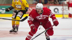 Fabian Hochegger erzielte in Fehervar zwei Powerplay-Tore