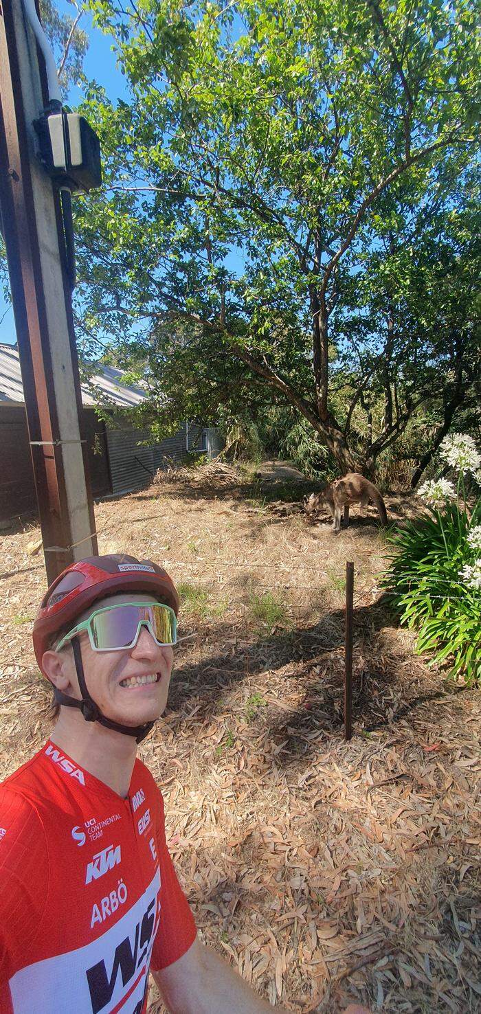 Ein Selfie mit dem Känguru 