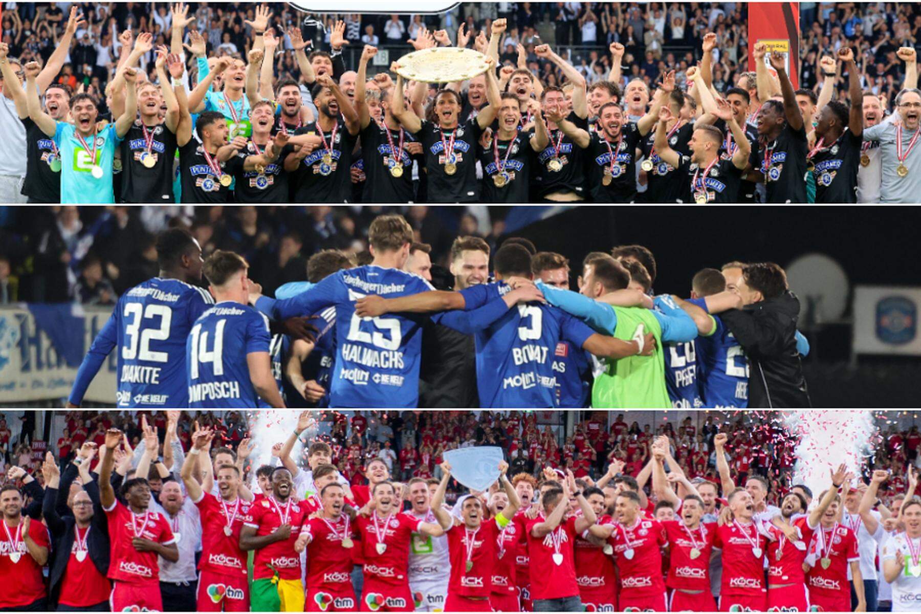 Meiste Profiklubs: Die Steiermark ist die Fußball-Hochburg Österreichs