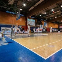 Ab Herbst 2027 dient Walfersam-Halle in Kapfenberg als Trainings- und Schulsporthalle