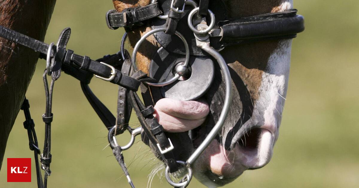 Blutherrschaft im Pferdesport: OPES-Präsident Max-Thürer mit scharfer Kritik an Weltorganisation: „Enttäuschend!“
