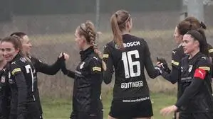 Die Wildcats wollen gegen Rapid jubeln