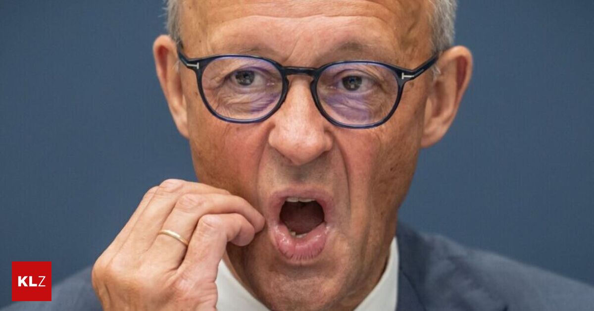 Merz will Demokratie notfalls mit Grundgesetz schützen