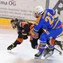 Eishockey, 2023-11-19 ; Div1, Velden orange /schwarz - Althofen blau/gelb
im  Bild: Velden Ofner Niklas - Althofen Kurath Florian
PhotoCredit: Hermann Sobe