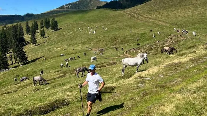 Die malerische Strecke führt auch an den Lipizzanern vorbei