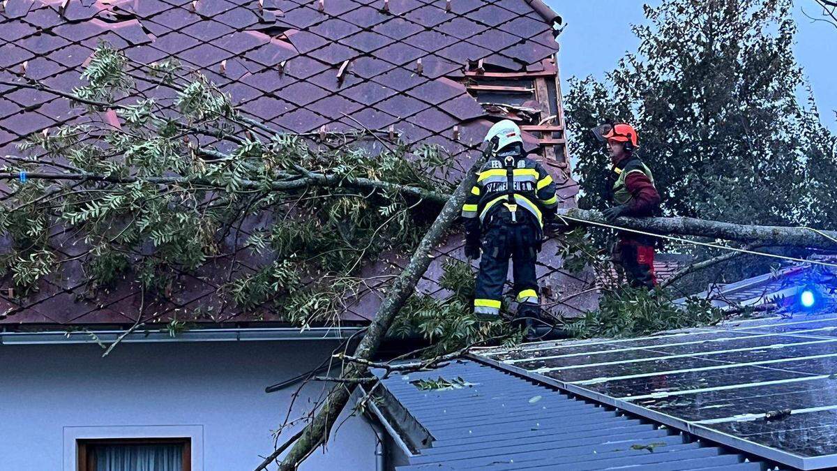 Umstürzende Bäume beschädigten, wie hier im Bezirk Hartberg, Dächer